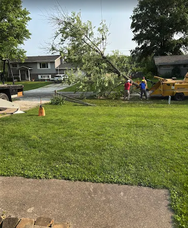 Crew clearing a downed tree with a wood chipper