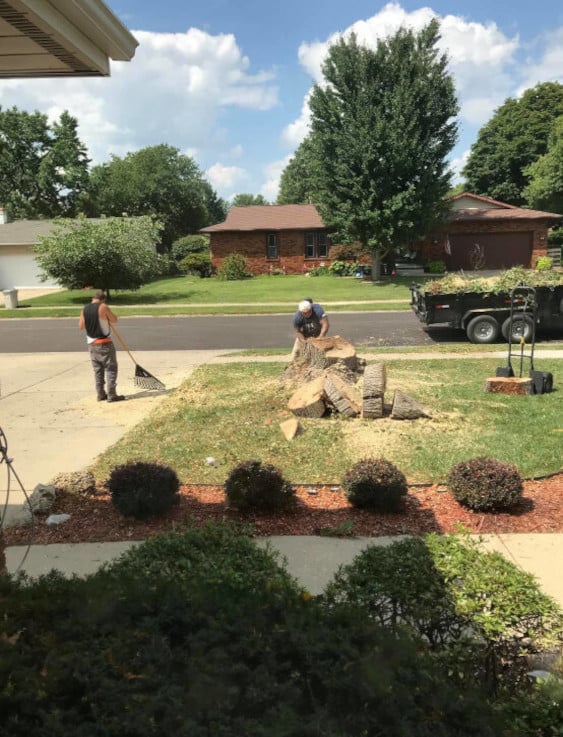 People cleaning up debris from taking down a tree