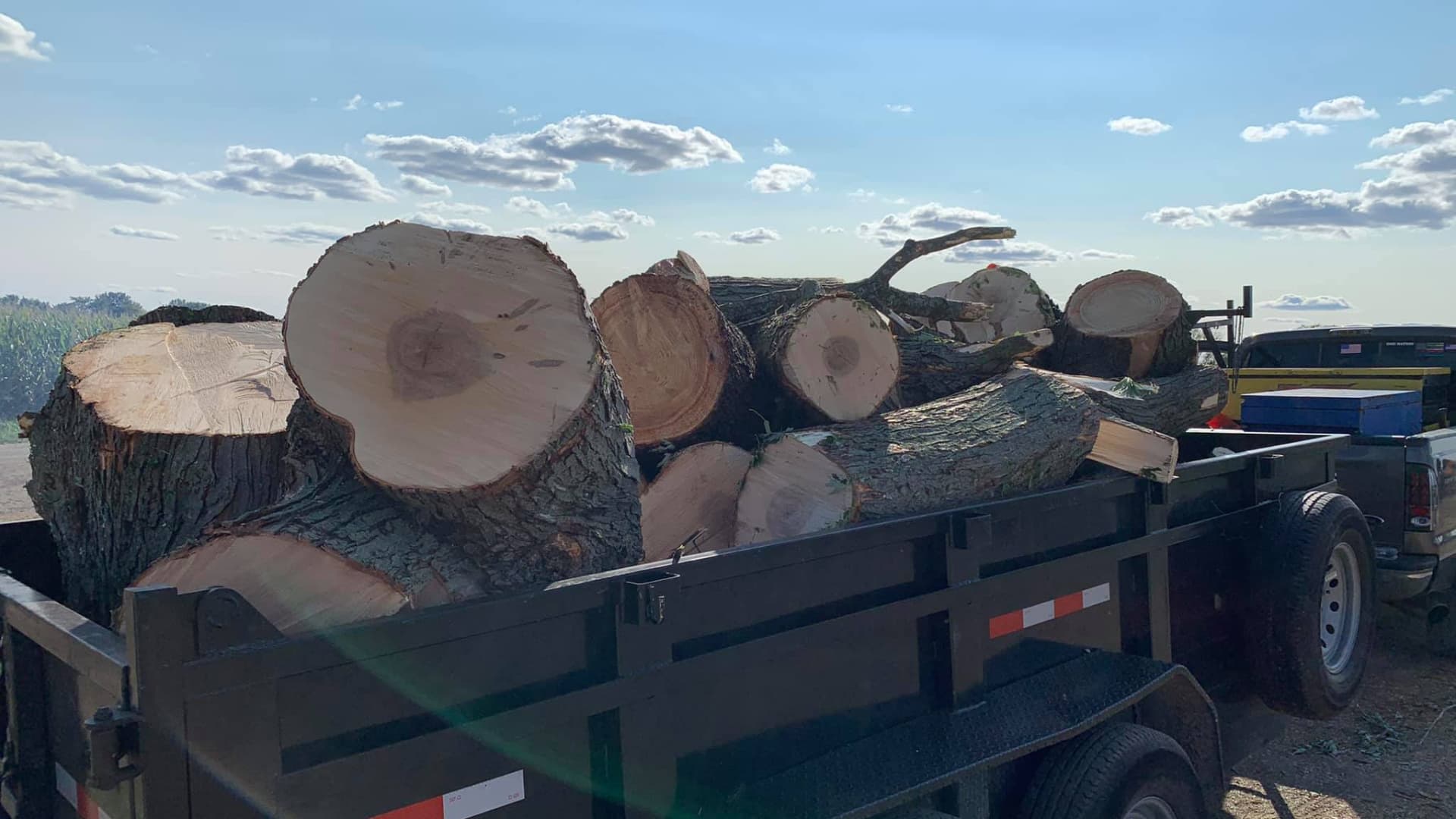 Tree trunk cut in pieces being hauled in a trailer