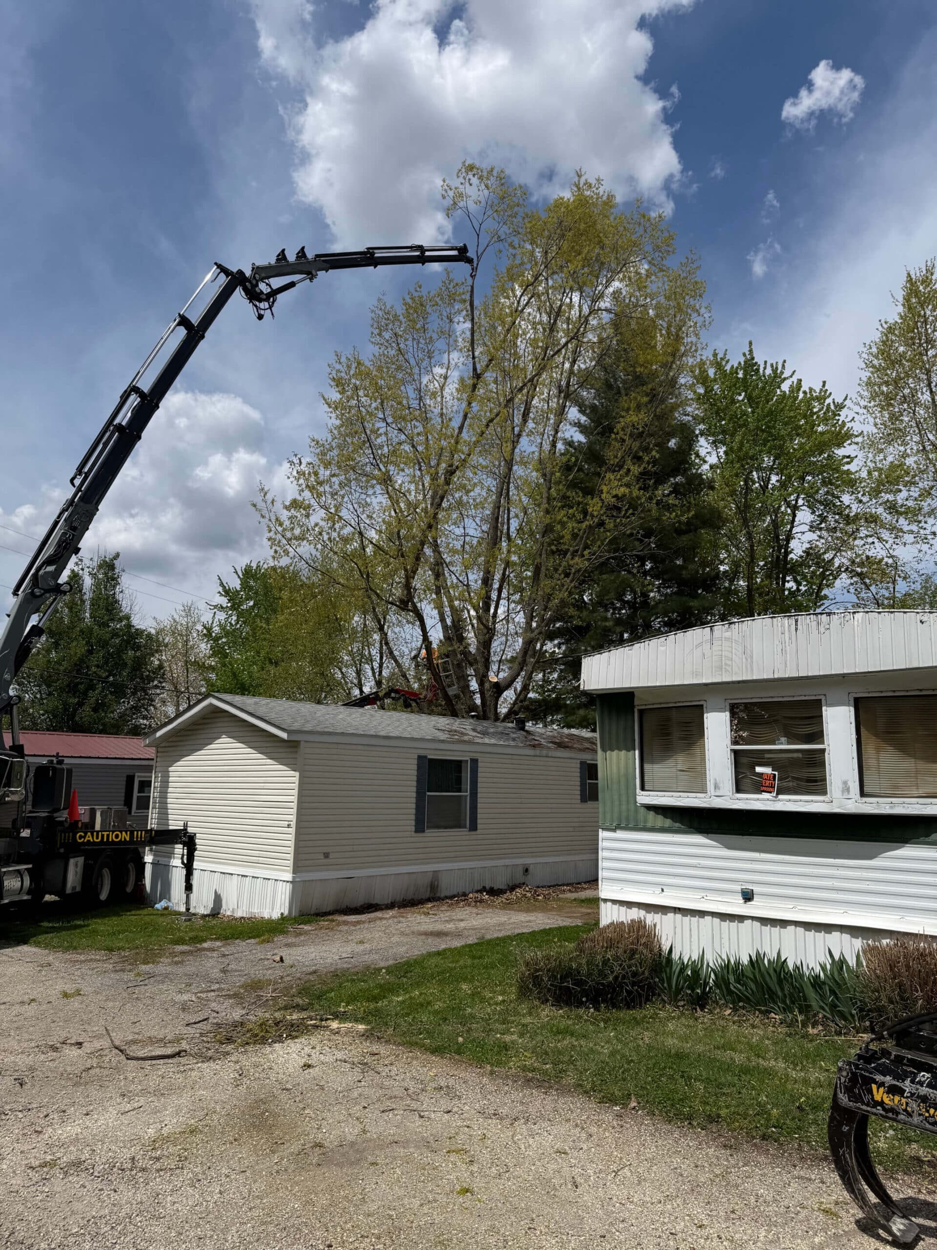 Rumble Bee Tree Service Trimming Trees around home