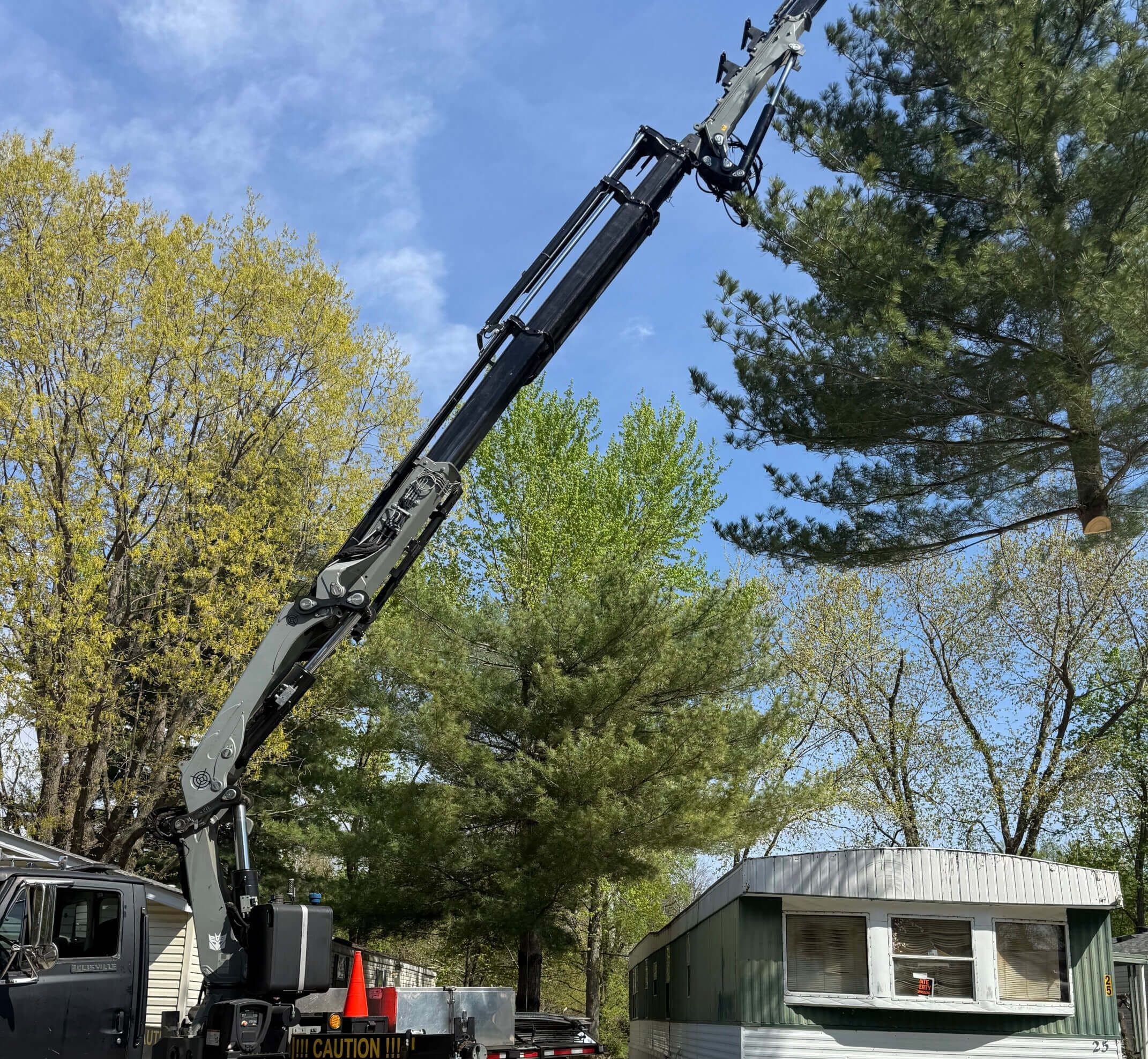 Spring Tree Trimming 2